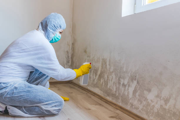 Licensed Hvac And Air Duct Mold Remediation service in Fairfield, TX - Mold Remediation HQ